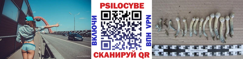 Псилоцибиновые грибы прущие грибы hydra ONION Яранск